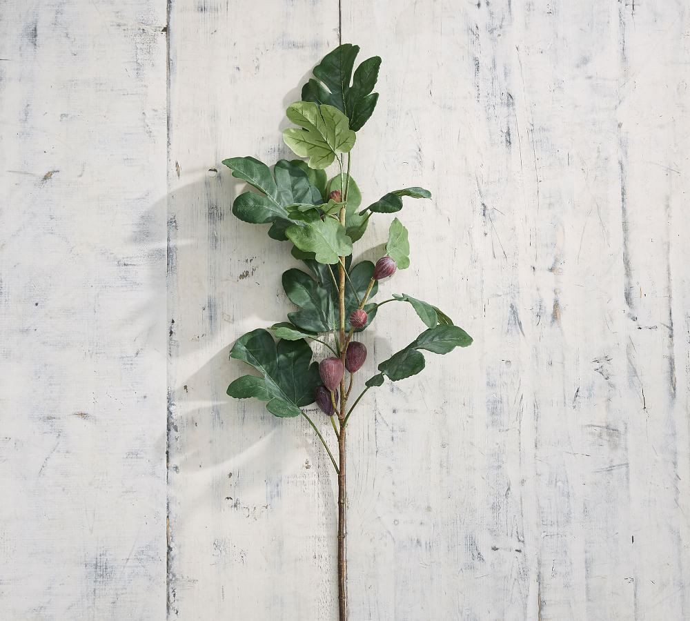 Faux Mission Fig Branch | Pottery Barn (US)
