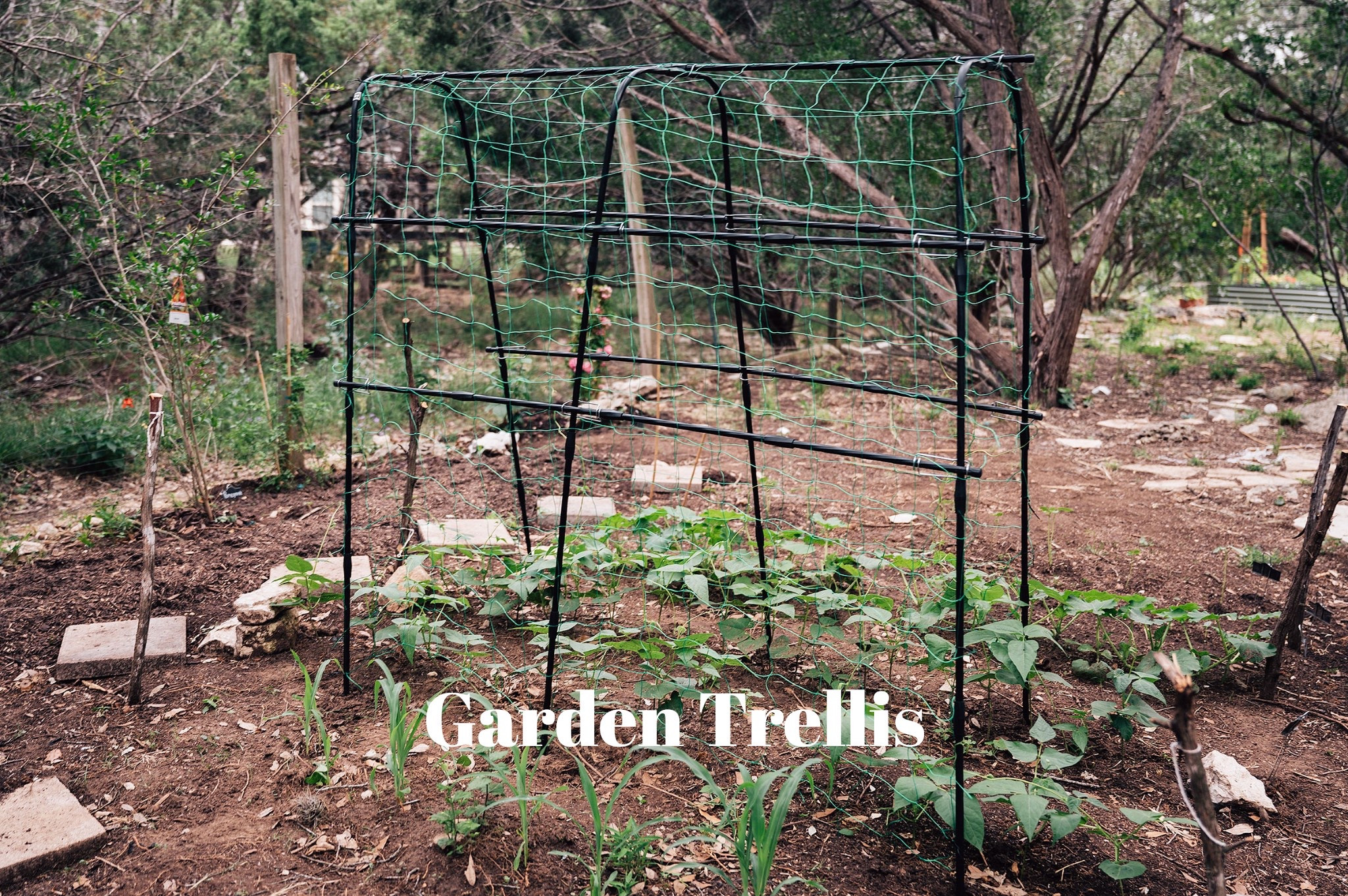 Needed a quick, sturdy solution to help our green beans climb — and this simple trellis has been perfect!
Easy to set up, lightweight, and holding strong as everything grows.
Linked it here if you’re building your garden a little at a time too!

#LTKFindsUnder50 #LTKHome #LTKSaleAlert