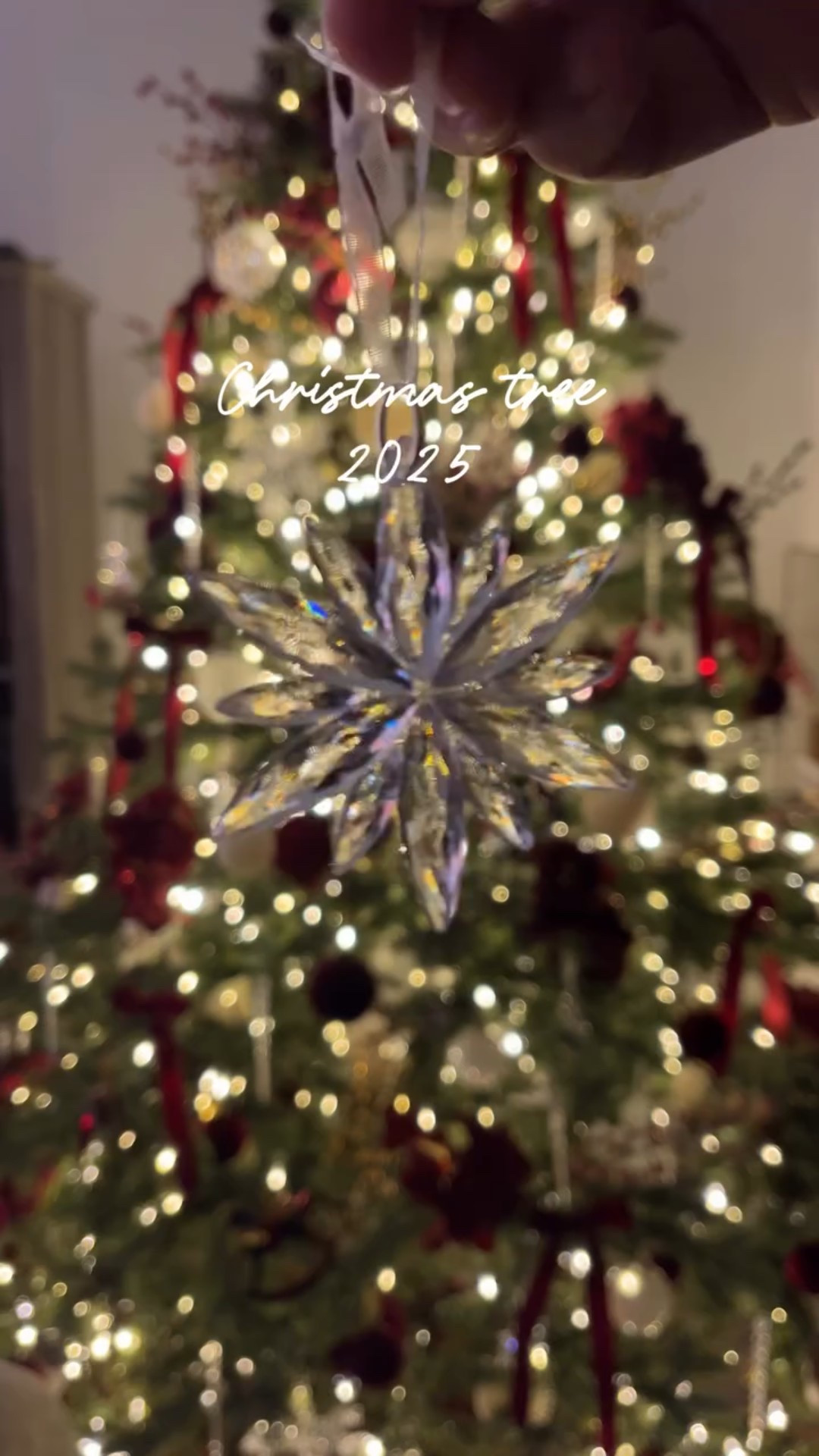 She’s glowing ✨🎄


#christmasdecor #christmastree #affordablechristmas #christmasmagic #christmasnostalgia