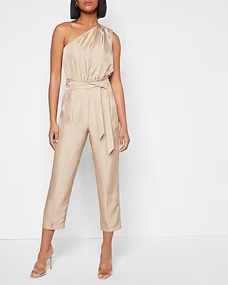 Draped One Shoulder Belted Jumpsuit | Express