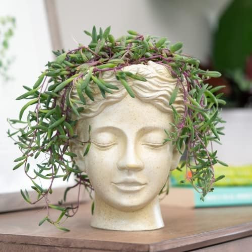 Beige Wall Planter  | Amazon (US)