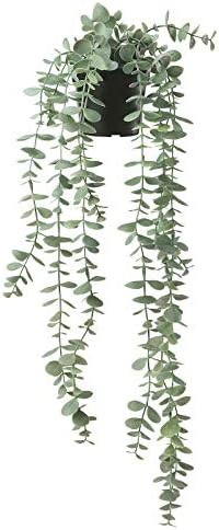 FEJKA Artificial Potted Plant, In/outdoor Decoration Hanging [Eucalyptus 9cm] | Amazon (US)