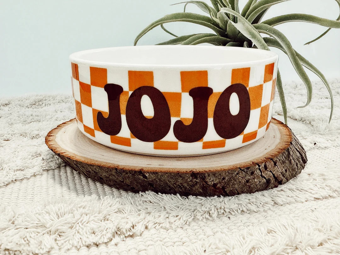 Personalized Checkered Retro Dog Bowl Cat Pet Bowl With Name Retro Gift for Pet Food Bowl Water B... | Etsy (US)