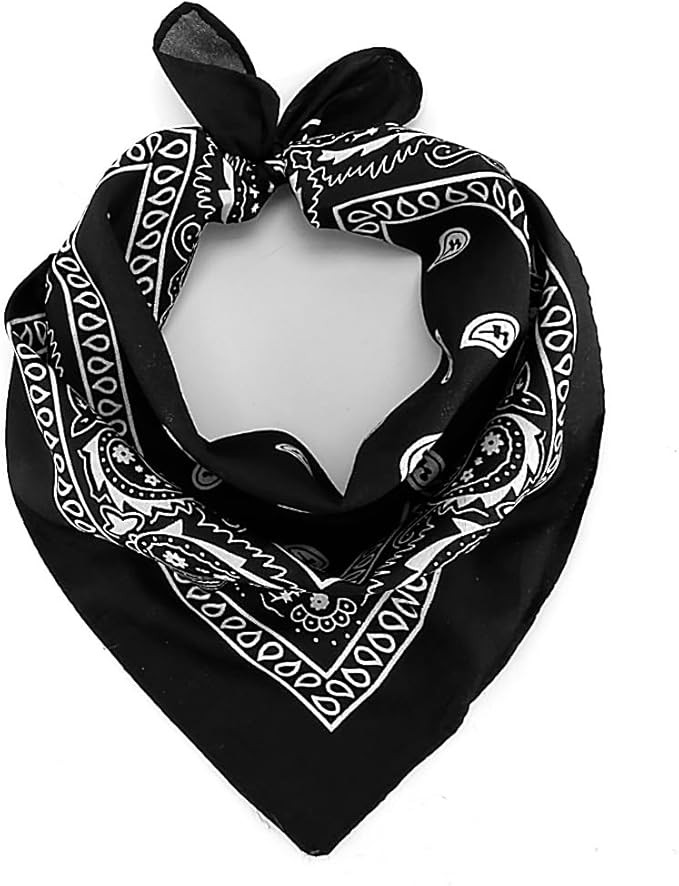 Bandana Paisley Bandanas Headbands Cowboy Handkerchiefs for Men and Women Multi-Purpose Head Wrap... | Amazon (US)