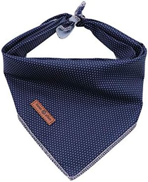 Lionet Paws Dog Bandana for Small Medium Large Dogs, Cat Kerchief Blue DOIT, Triangle Bibs Scarf ... | Amazon (US)