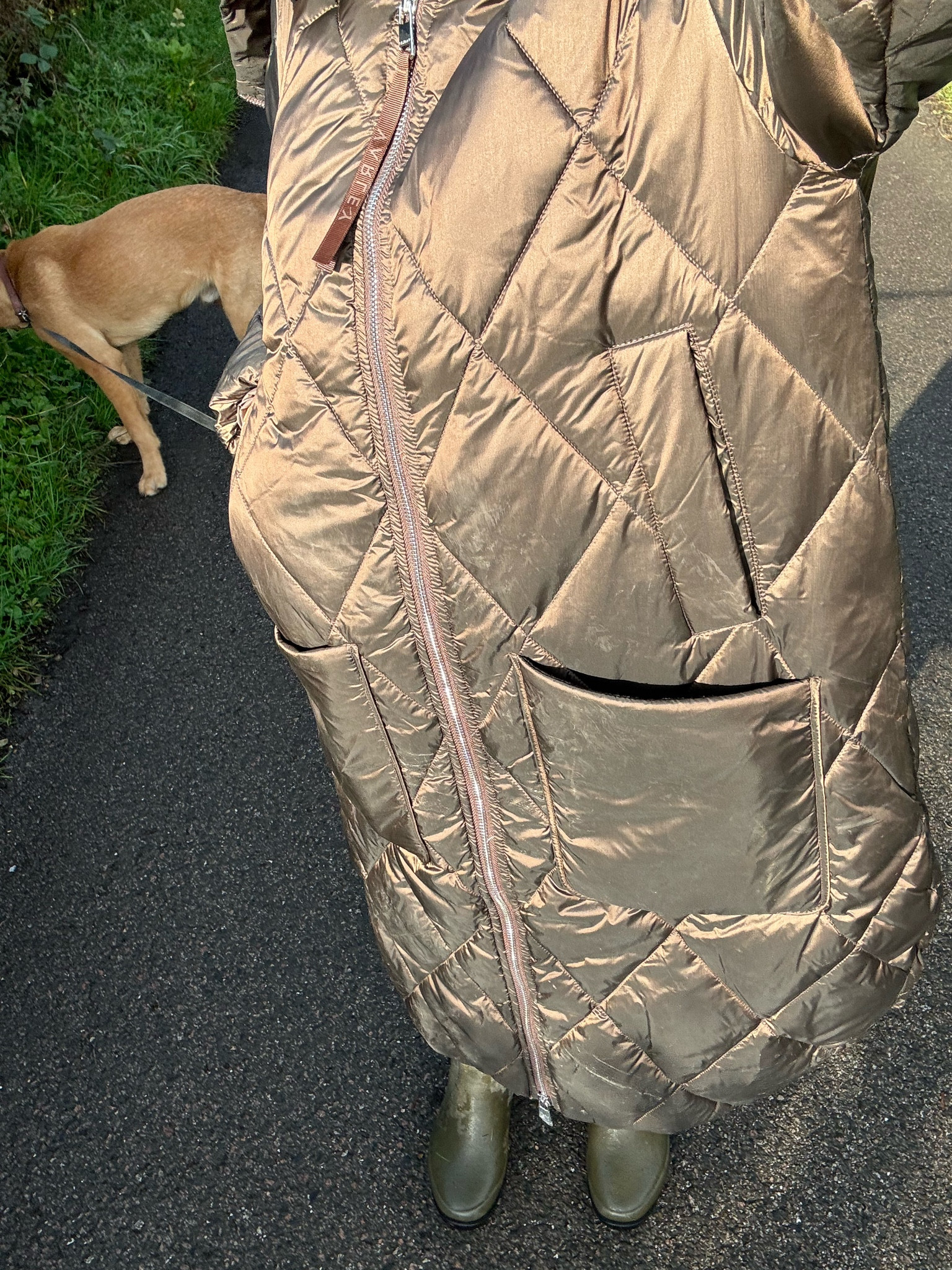 The perfect dog walking quilted coat 🍂 

#LTKuk #LTKautumn