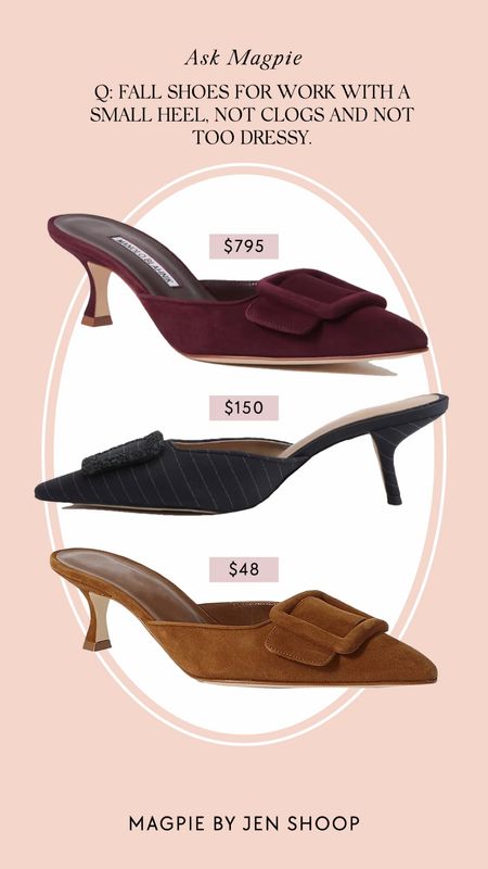 Manolo maysales and inspired by / look for less options. 

#LTKshoecrush #LTKstyletip #LTKfindsunder50
