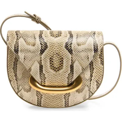 Wandler Small Veneto Snakeskin Leather Crossbody Bag in Island Python at Nordstrom | Nordstrom