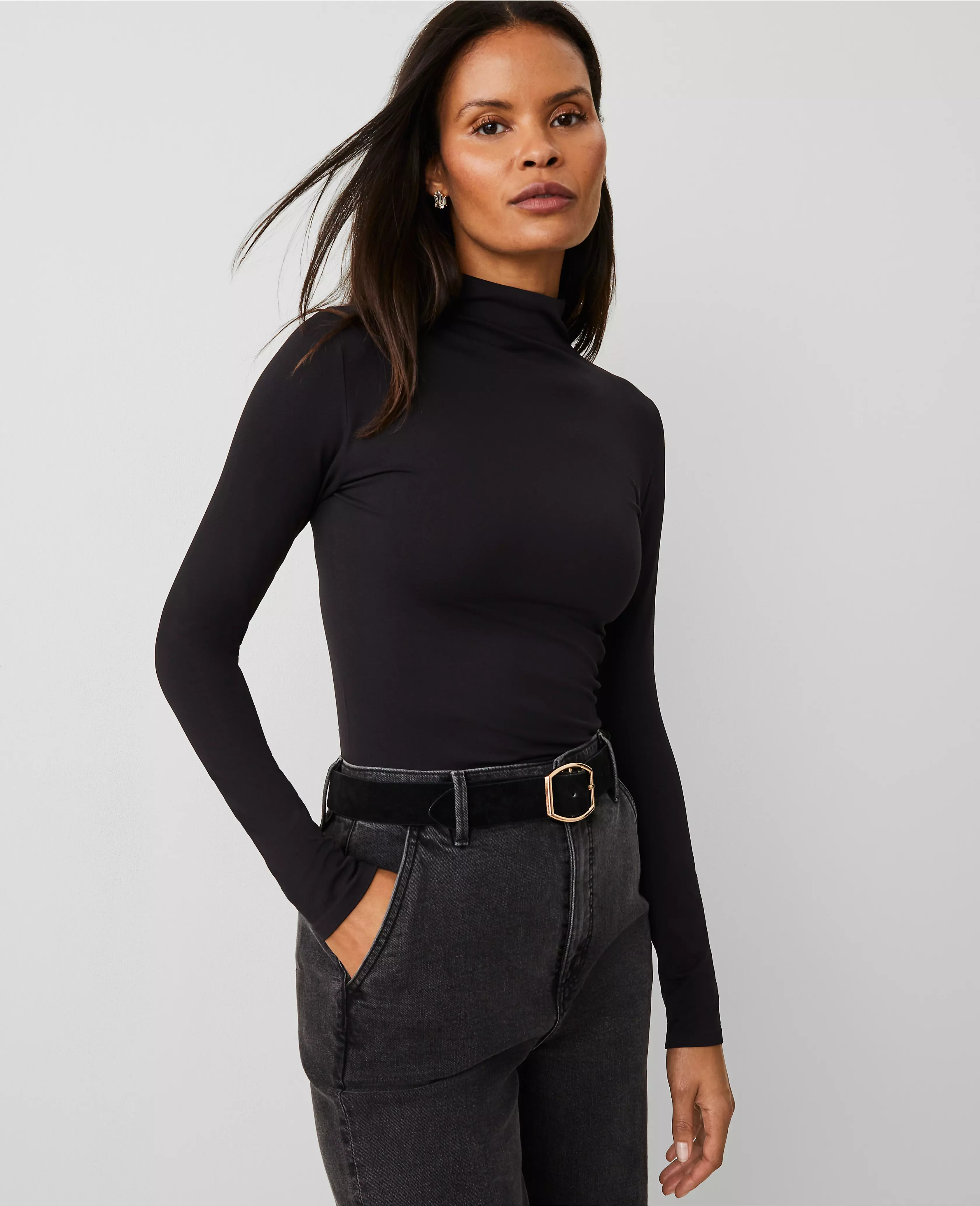 Long-Sleeve Turtleneck Top | Ann Taylor (US)