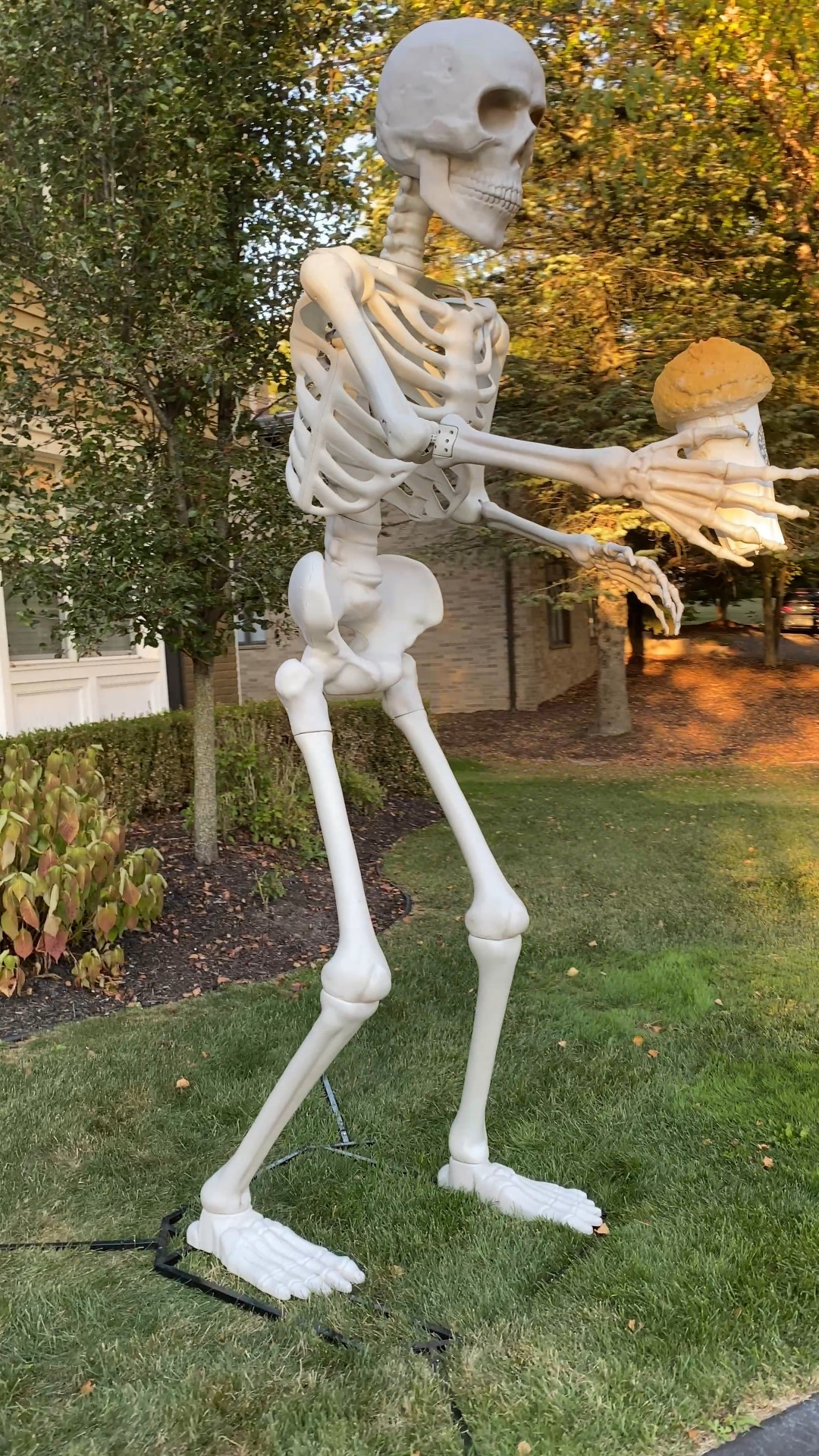 Of course Skelly has his Skellington coffee 🤣 #skeleton #Skelly #Halloween #Halloweendecor #Halloweenoutdoors #outdoorHalloween #Halloweendecorations 

 #LTKHalloween #LTKSeasonal #LTKHome