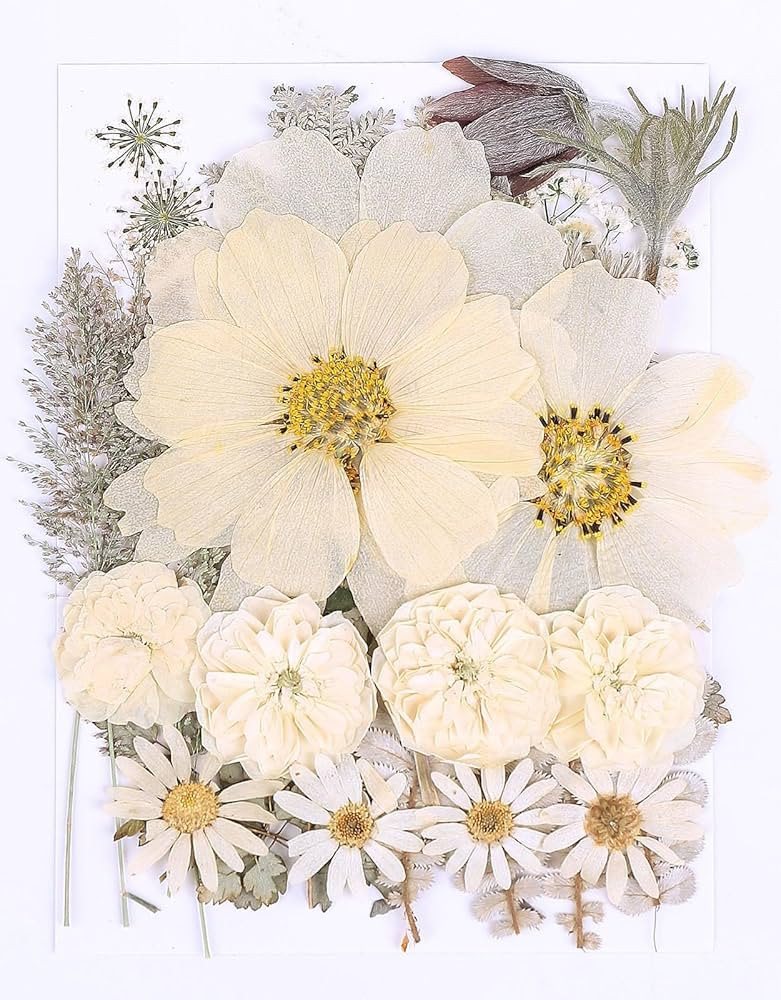 48PCS White Large Real Dried Pressed Flowers Leaves Natural Plant Herbarium for DIY Resin Mold Je... | Amazon (US)
