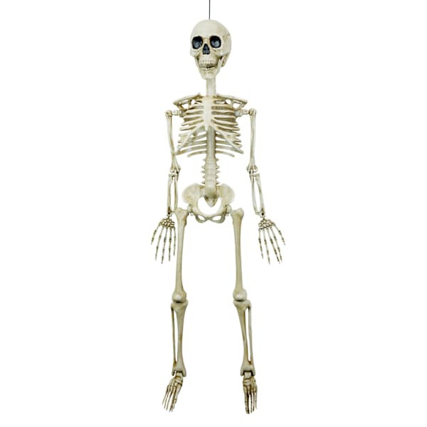 Black Decaying Skeleton, 36", Natural, Plastic, sold by At Home | At Home