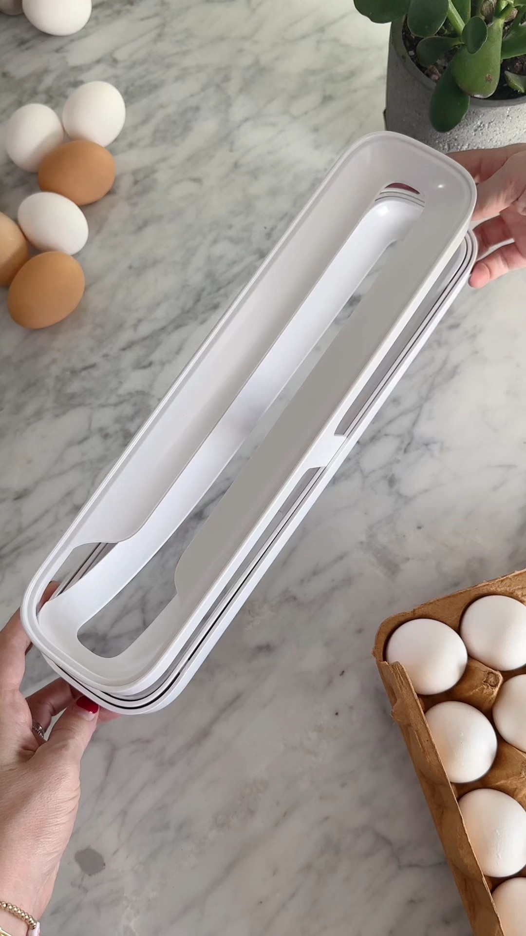 YouCopia RollDown Refrigerator Egg Dispenser