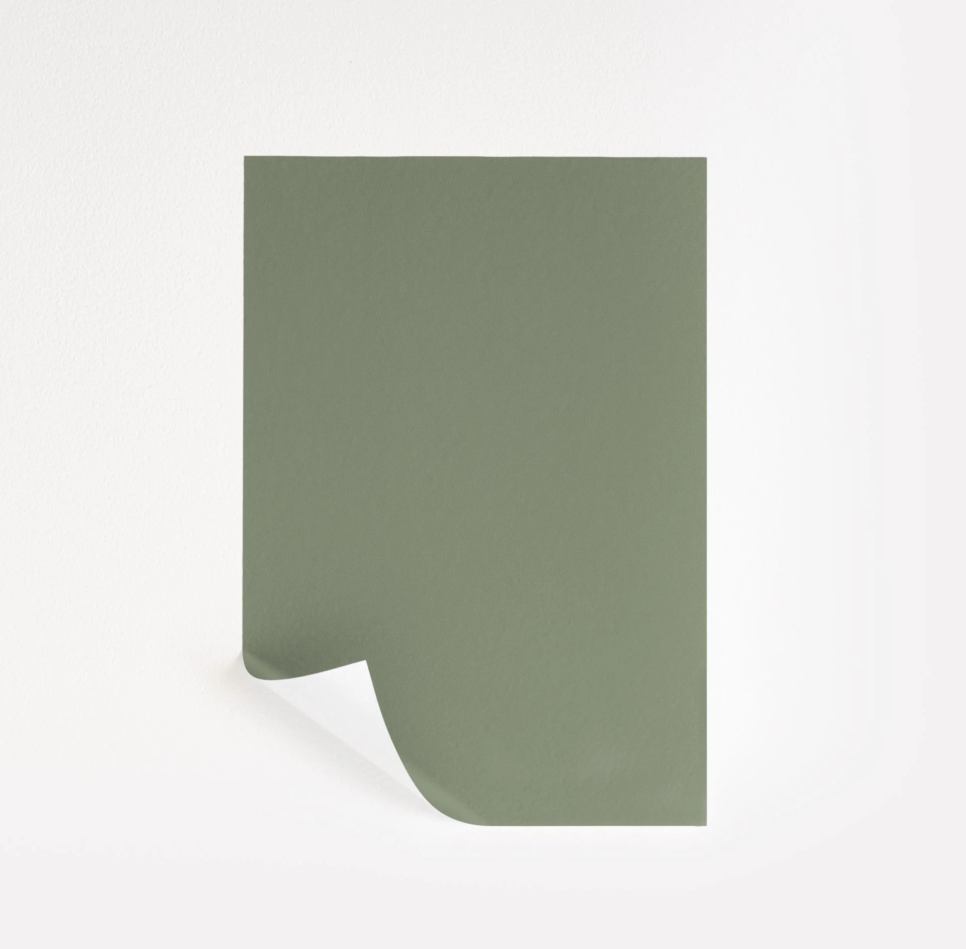 Secret Path  Paint Sample | Samplize