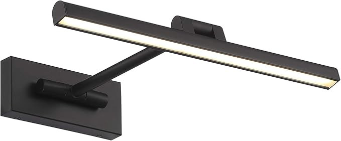 Reed 17in LED Adjustable Picture Light 3000K in Black | Amazon (US)