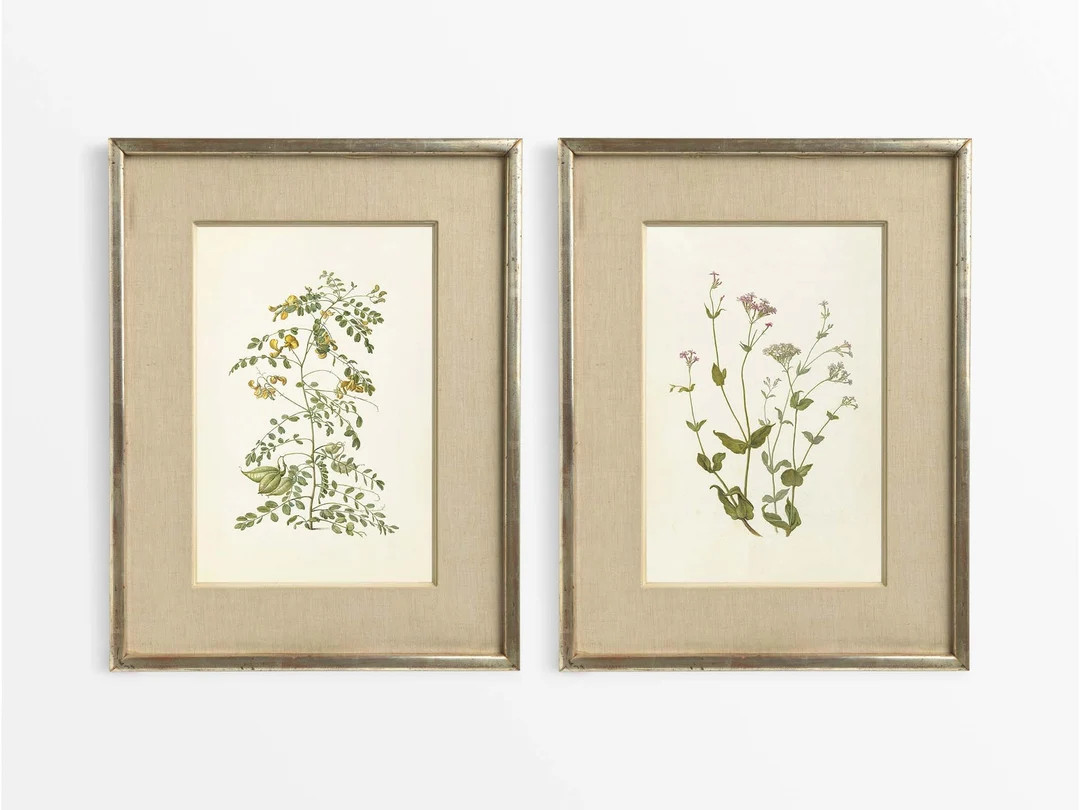 Set of Two Vintage Botanical Drawings, Minimalist Antique Floral Watercolour Paintings, Farmhouse... | Etsy (UK)