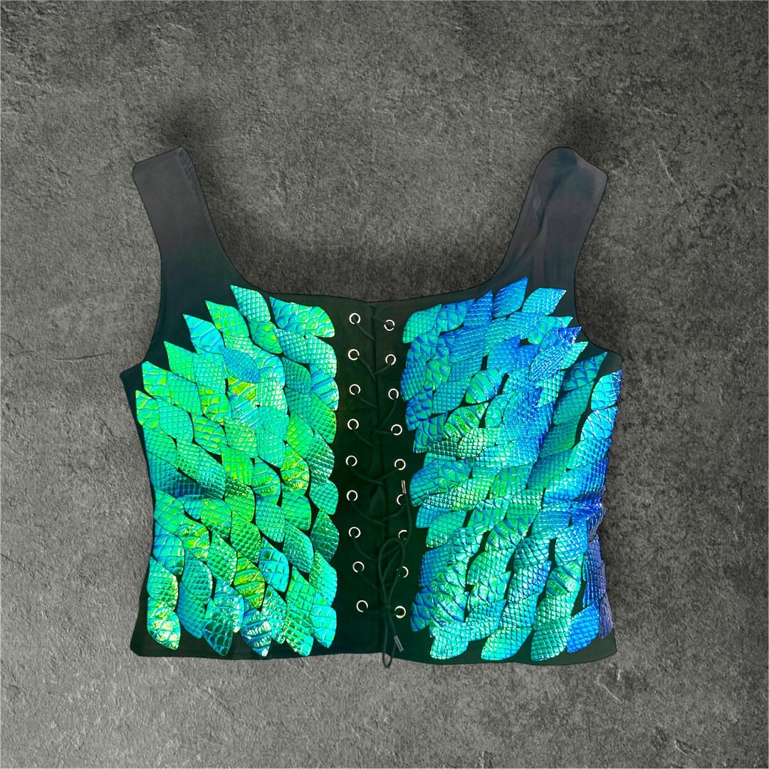 Fourth Wing Violet Sorrengail Dragon Scale Vest, Fourth Wing Cosplay, Dragon Rider, Violet Sorren... | Etsy (US)