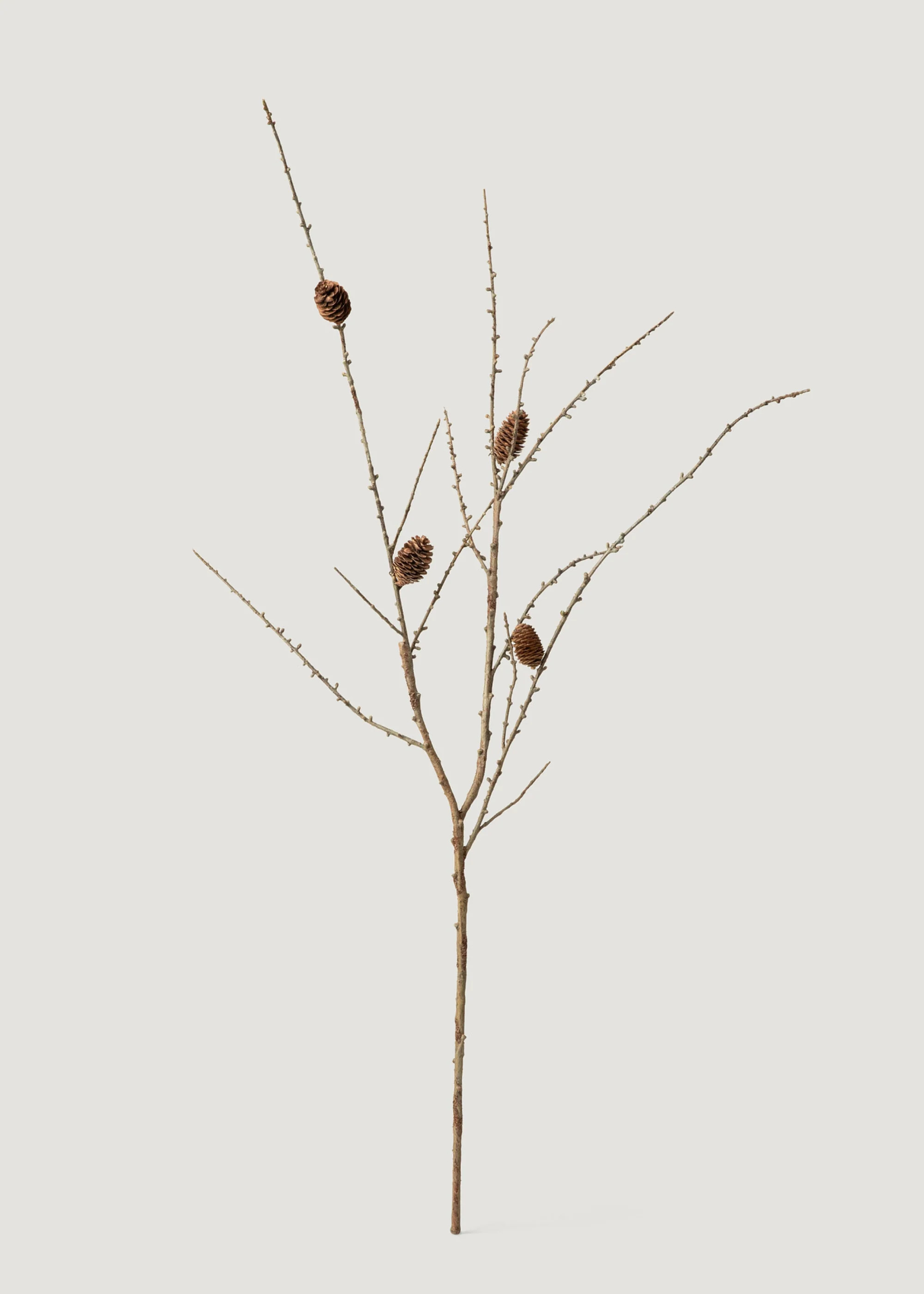 Larch Branch 46&quot; | Faux, with Pinecones | Afloral | Afloral