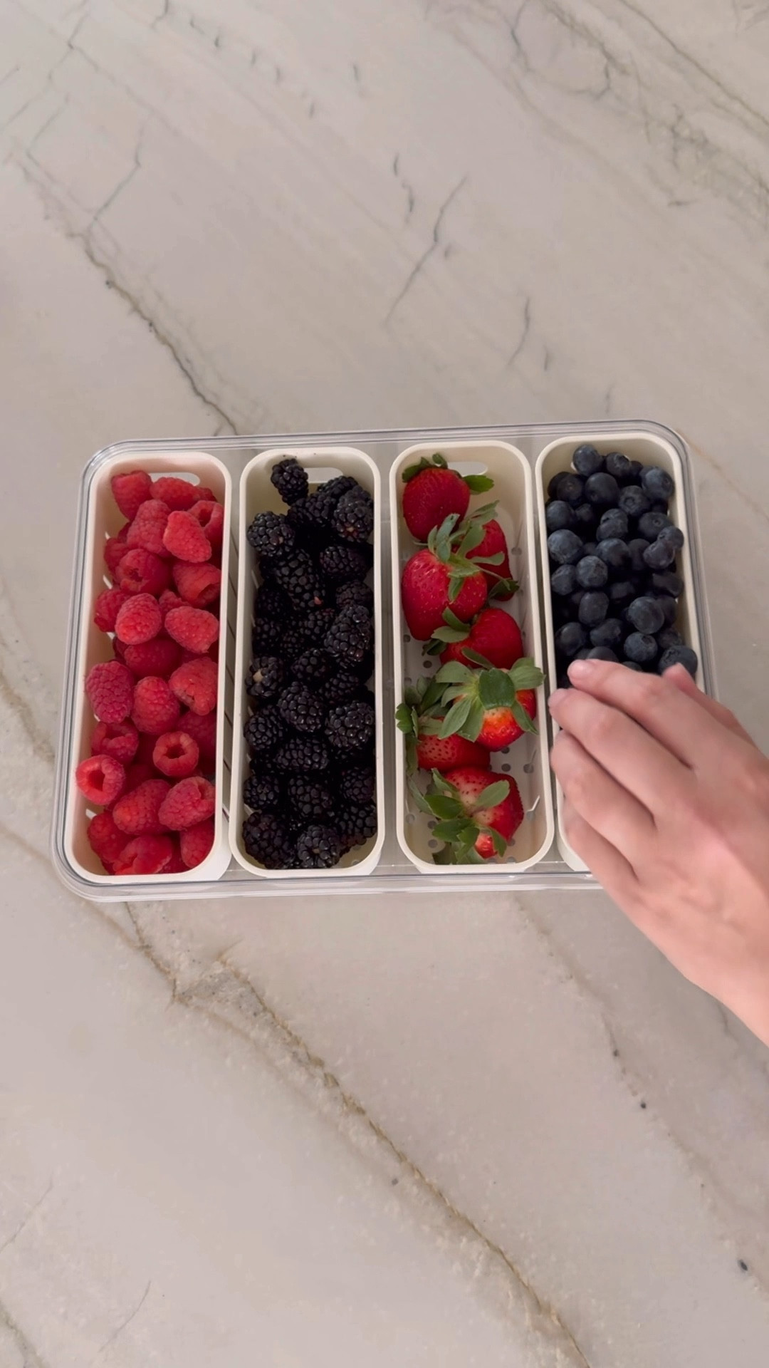 I love our new fruit storage box! It fits all of our berries! So convenient and air tight too! #kitchenfind 

#LTKWatchNow #LTKFindsUnder100 #LTKFindsUnder50