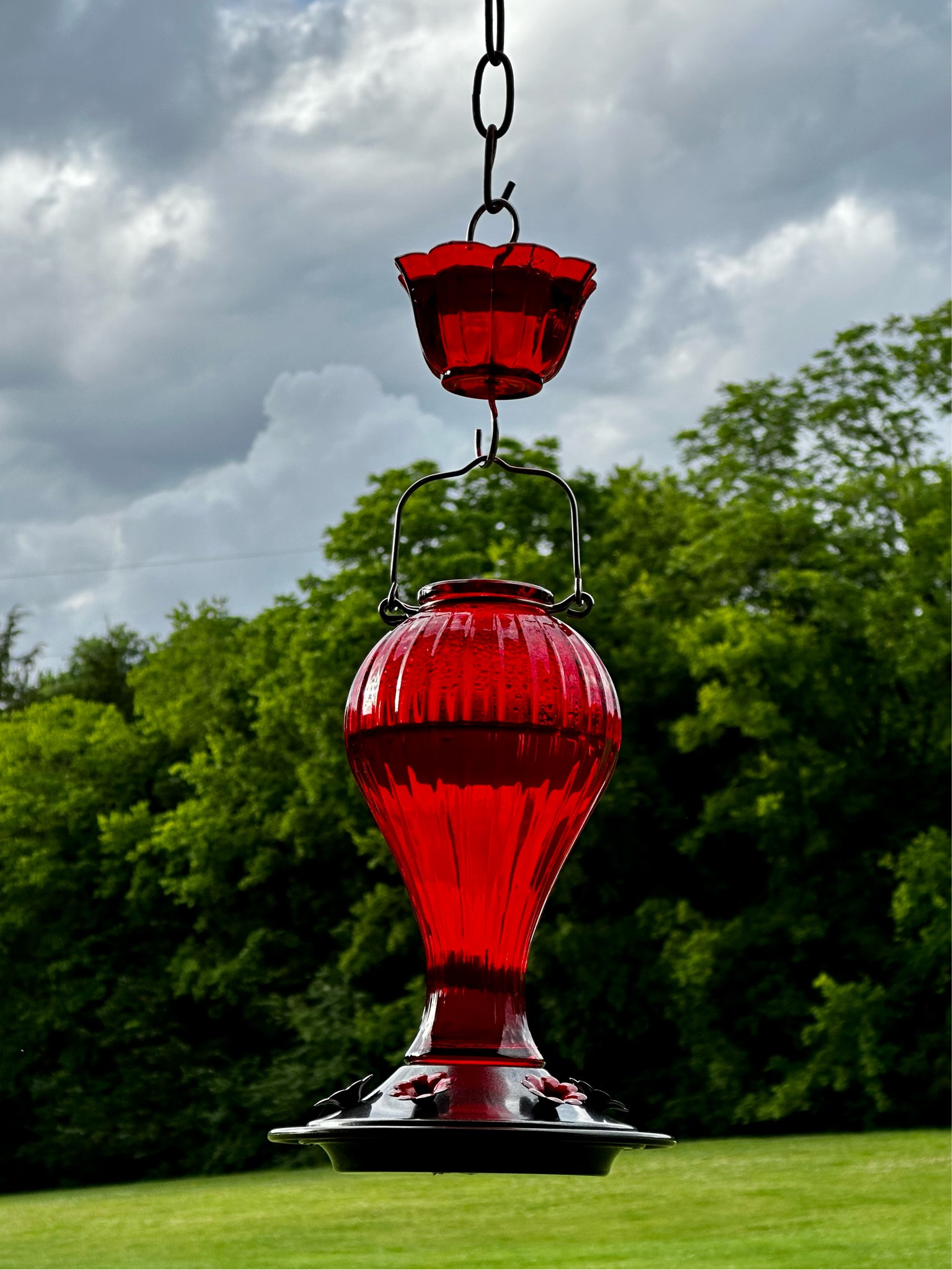 It’s Hummingbird season! If you need a new feeder, this one is a fantastic glass option. 

#LTKSeasonal #LTKFindsUnder50 #LTKHome