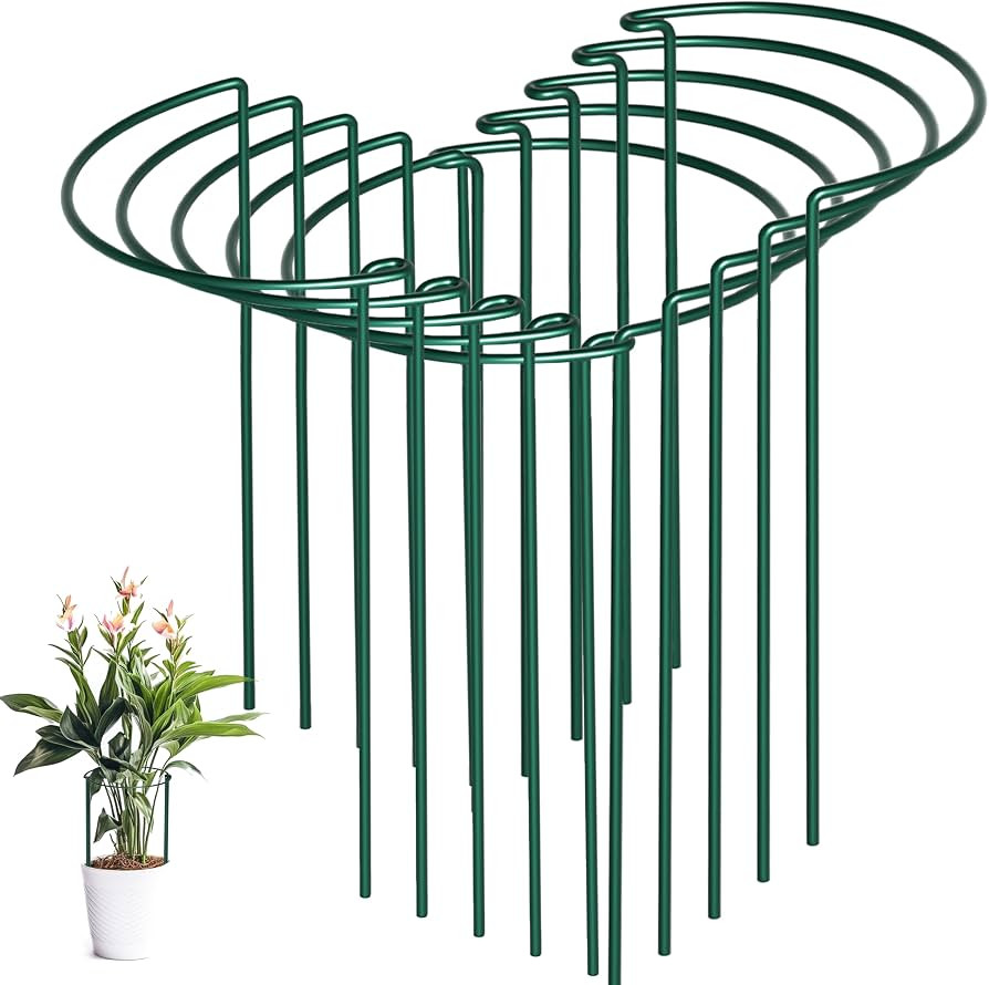 10 Pack Peony Cages and Supports, 10" (W) x 16"(H) Plant Support, Heavy-Duty Metal Plant Support ... | Amazon (US)