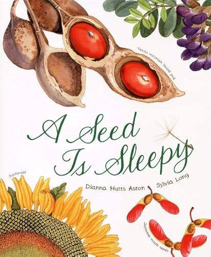 A Seed Is Sleepy (Sylvia Long) | Amazon (US)