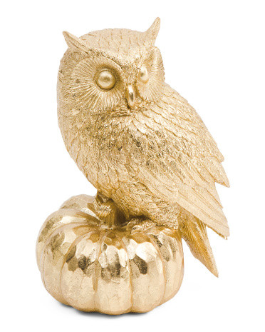 Owl Standing On Punpkin Decor | TJ Maxx