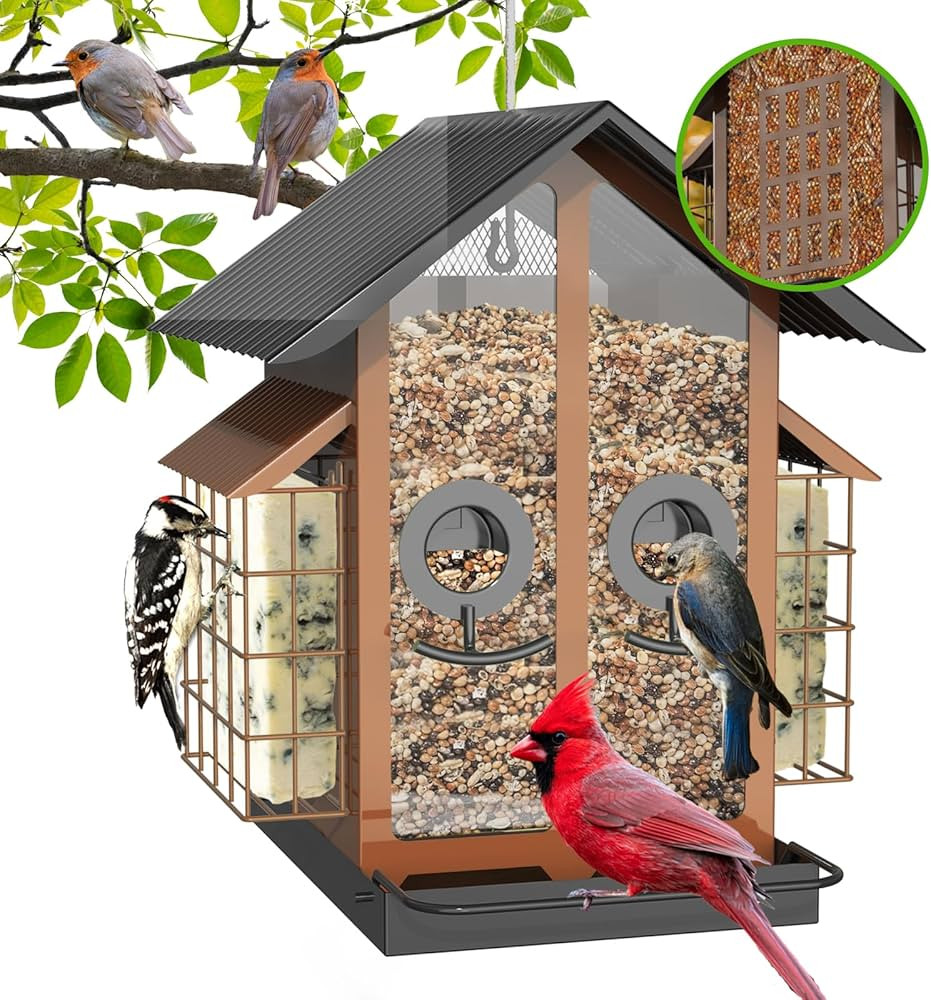 Bird Feeders for Outdoors, Metal Bird Feeder with Double Suet Cage Weatherproof Metal Roof, 2 in ... | Amazon (US)