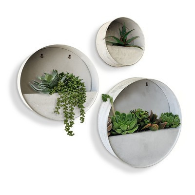 Modern Home Round Living Wall Mounted Galvanized Steel/Zinc Succulent/Herb Planter (Aged Zinc, Set of 3) | Target