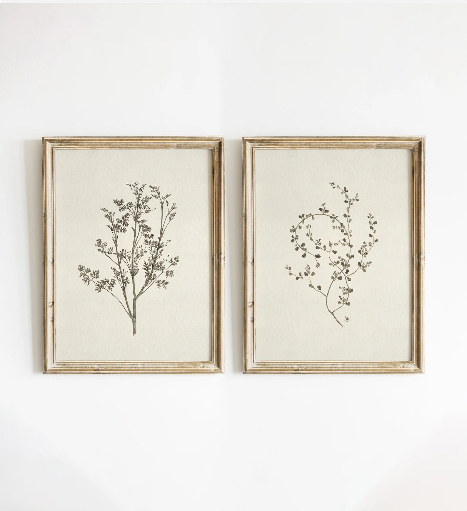 Vintage Botanical Print SET of Two, Cottagecore Prints, Farmhouse Wall Decor, French Country Bota... | Etsy (US)