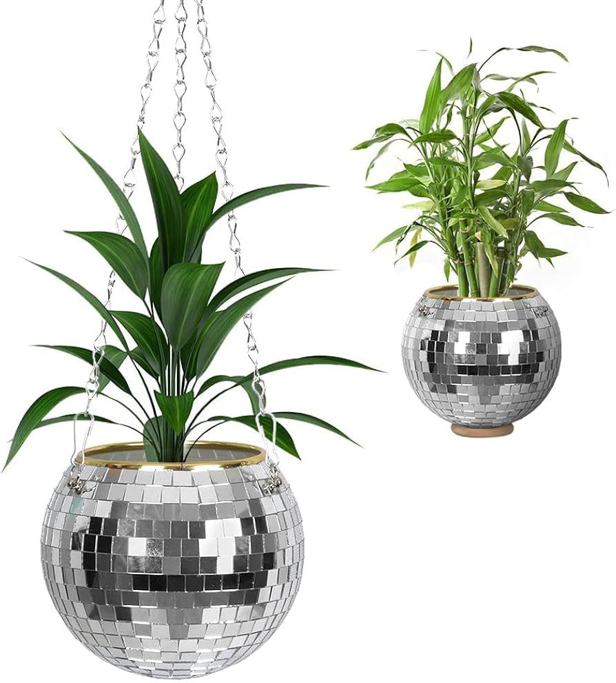 Disco Ball Planter 6 Inch - with Hanging Chain Rope and Wooden Stand for Desk,Hanging Disco Ball ... | Amazon (US)