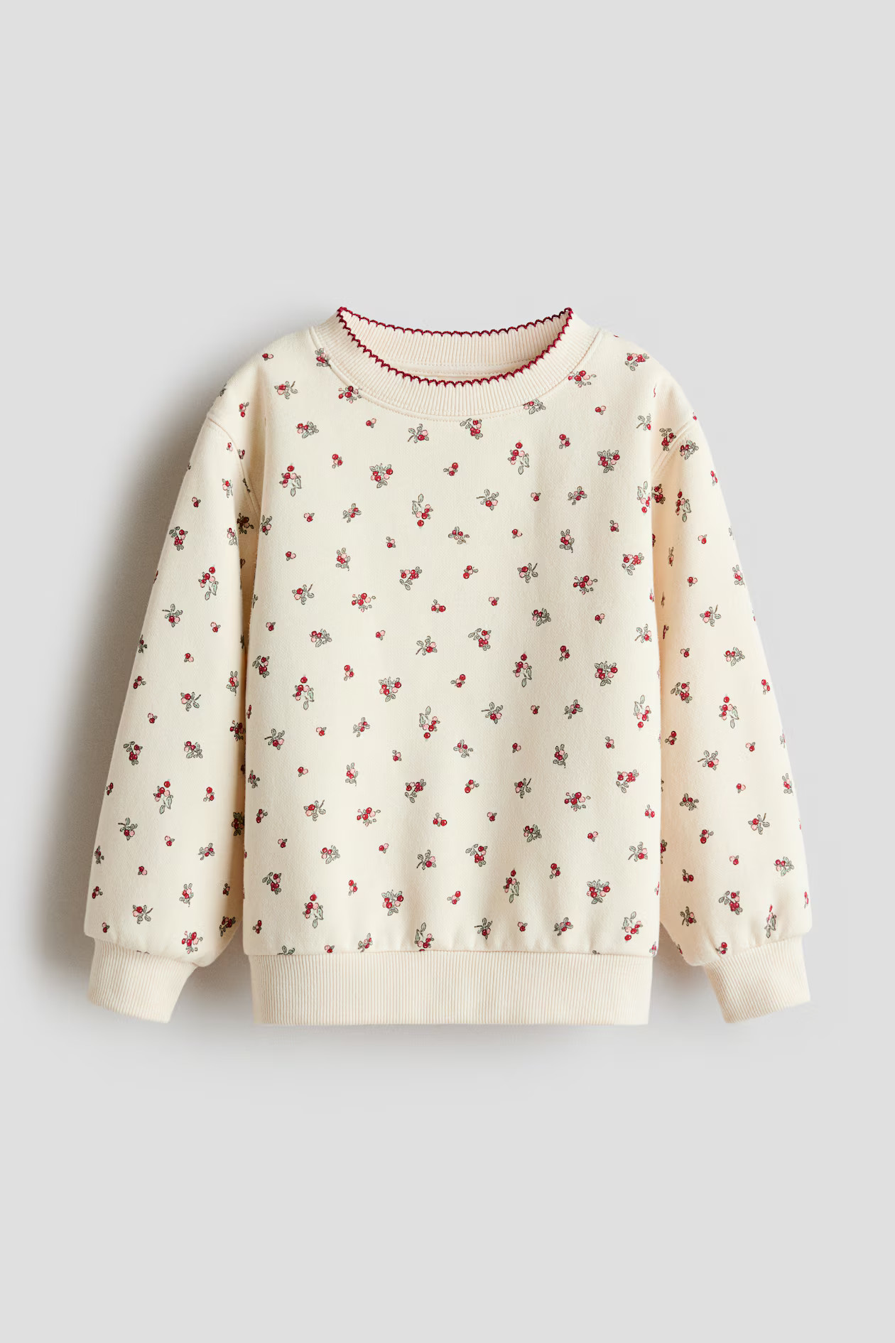Printed Brushed-Inside Sweatshirt | H&M (US + CA)
