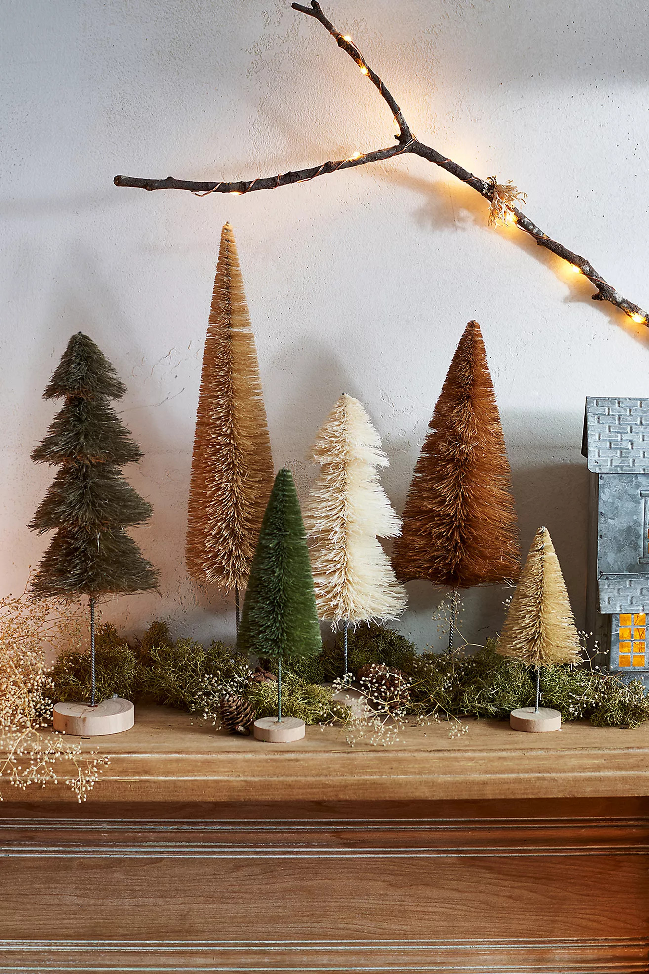 Brush Trees, Set of 6 | Anthropologie (US)