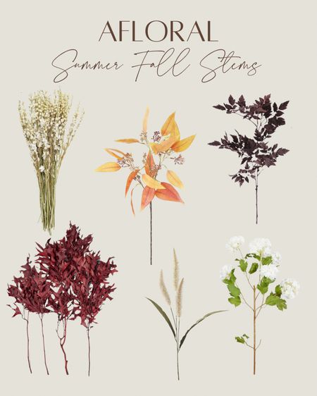 This in between time I call Summer Fall is ripe with beautiful flowers and foliage. Afloral Faux stems are popping this year. Fall faux stems, faux stems, Summer stems, faux flowers.

#LTKFind #LTKSeasonal #LTKhome