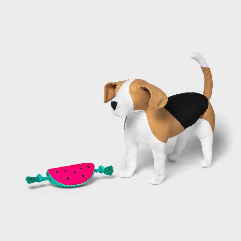 Watermelon with Rope Slider Dog Toy - Sun Squad™ | Target