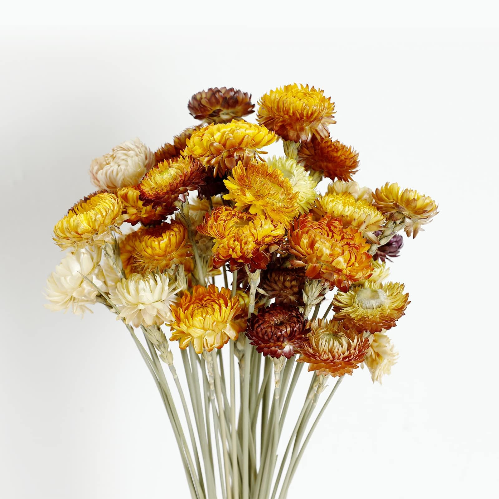 Dried Flower 40PCS Daisy Bouquet 100% Natural Chrysanthemum Dry Flower for Vase Home décor Party DIY Arrangement Wheat Straw Bulk （Multi-Color） | Amazon (US)