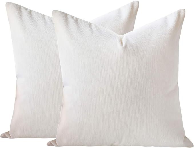 Homey COZY 14x20 Chenille Indoor/Outdoor Accent Pillow (Set of 2), Ivory 2 Count | Amazon (US)