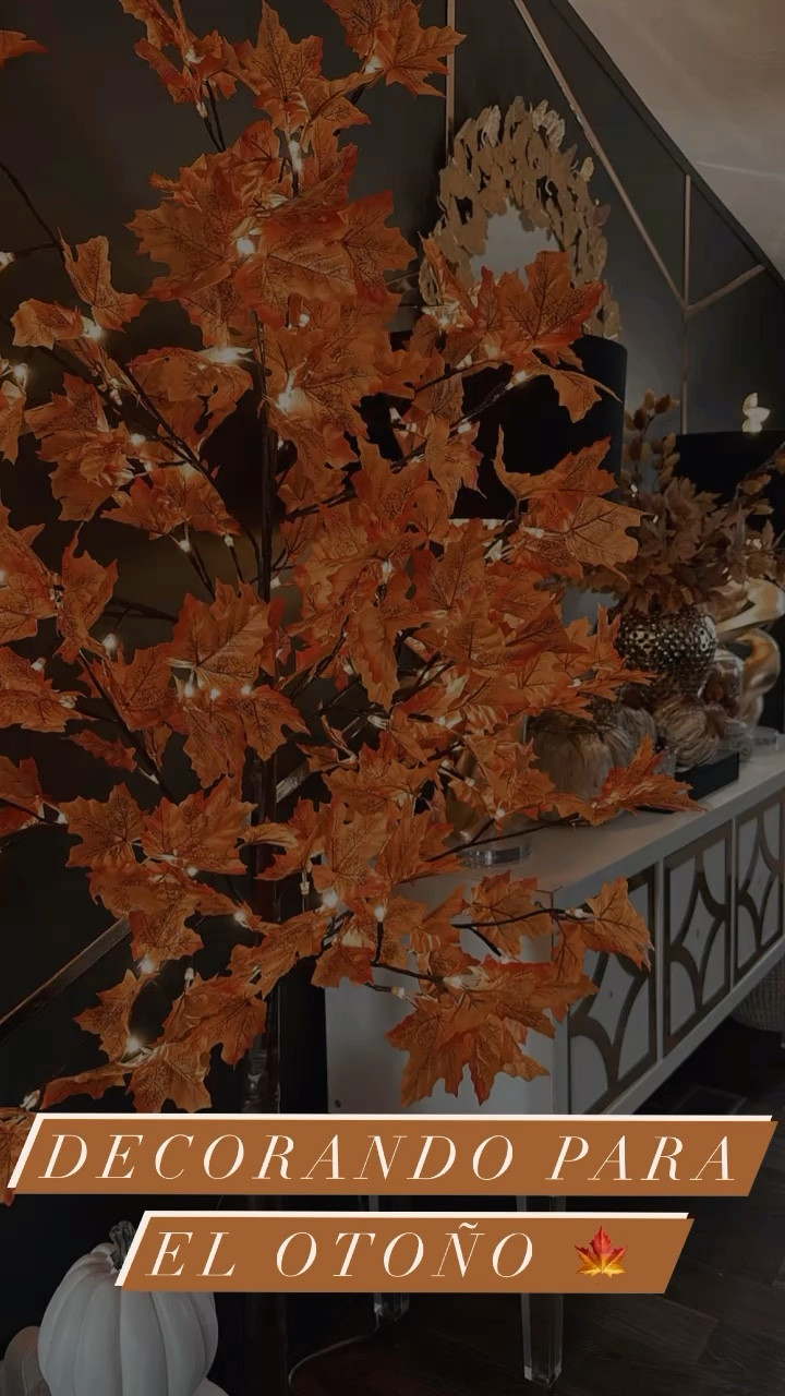 Decorando conmigo para otoño 🍁🤎🧡🫶…

#LTKFind #LTKhome #LTKSeasonal