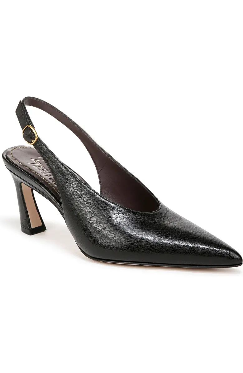 Elaine Slingback Pointed Toe Pump (Women) | Nordstrom