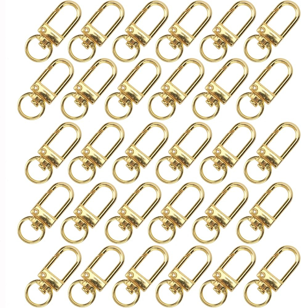 30pcs Metal Lobster Claw Clasps Swivel Lanyards Trigger Snap Hooks Strap for Jewelry Purse Making... | Amazon (US)