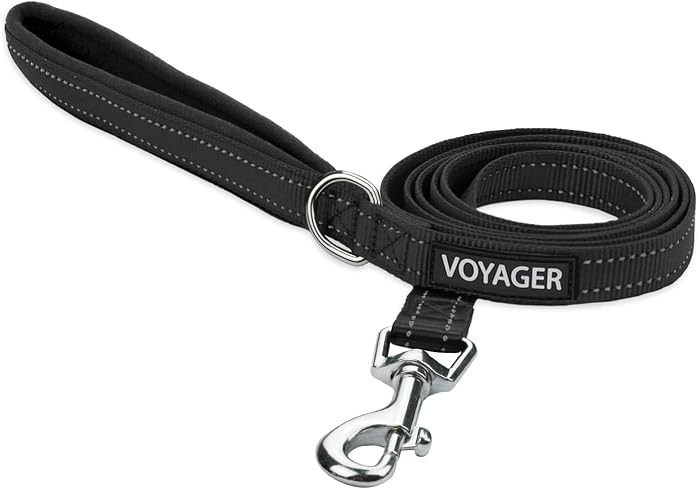 Best Pet Supplies Voyager Reflective Dog Leash or Collar with Neoprene Handle, for Small, Medium,... | Amazon (US)