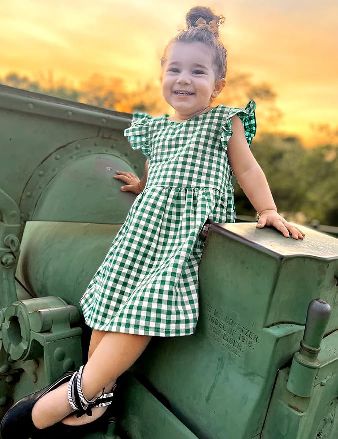 AGQT Baby Girls Plaid Dress Flutter Sleeve Gingham Spring Summer Dresses Size 6M-8T | Amazon (US)