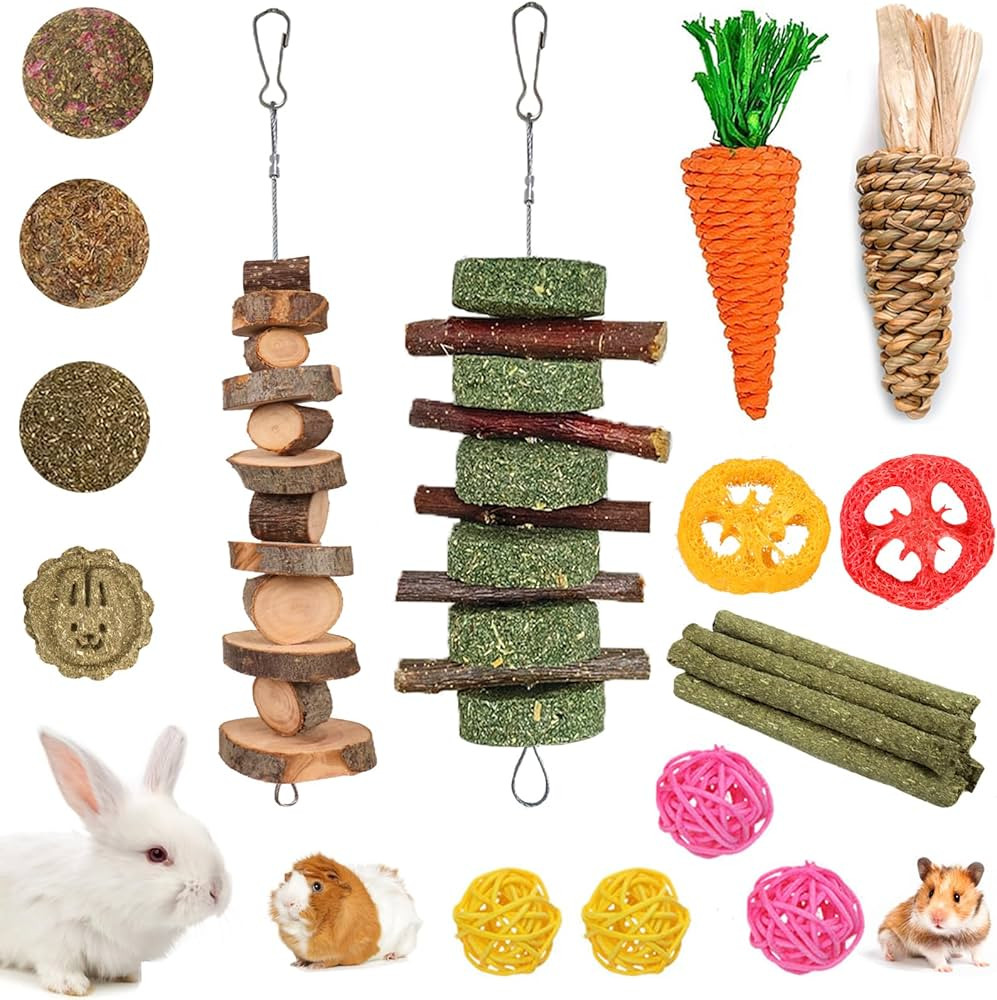 Grddaef 20 PCS Bunny Chew Toys for Teeth, Natural Rabbit Toys Apple Wood Grass Timothy Sticks Che... | Amazon (US)