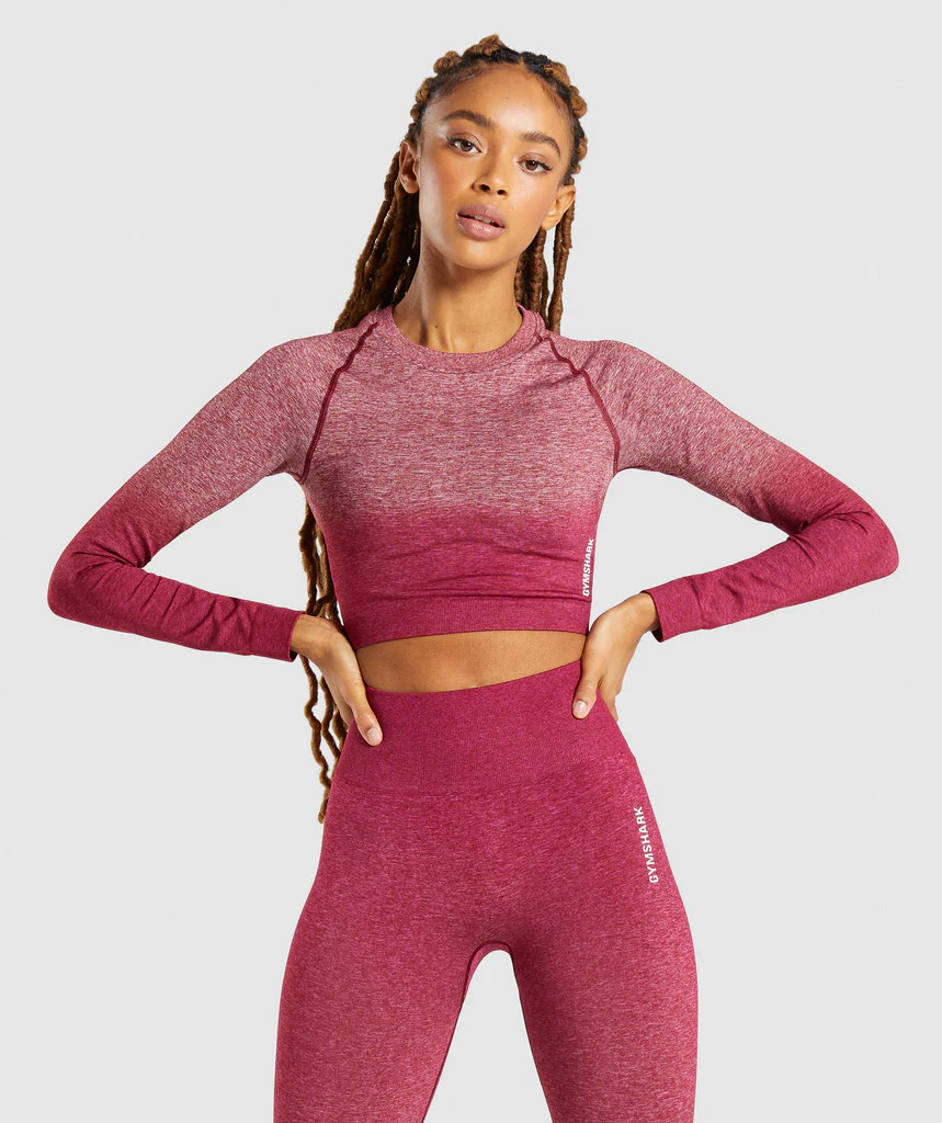 adapt ombre seamless long sleeve crop top | Gymshark (Global)
