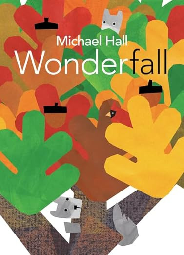Wonderfall     Hardcover – Illustrated, September 6, 2016 | Amazon (US)