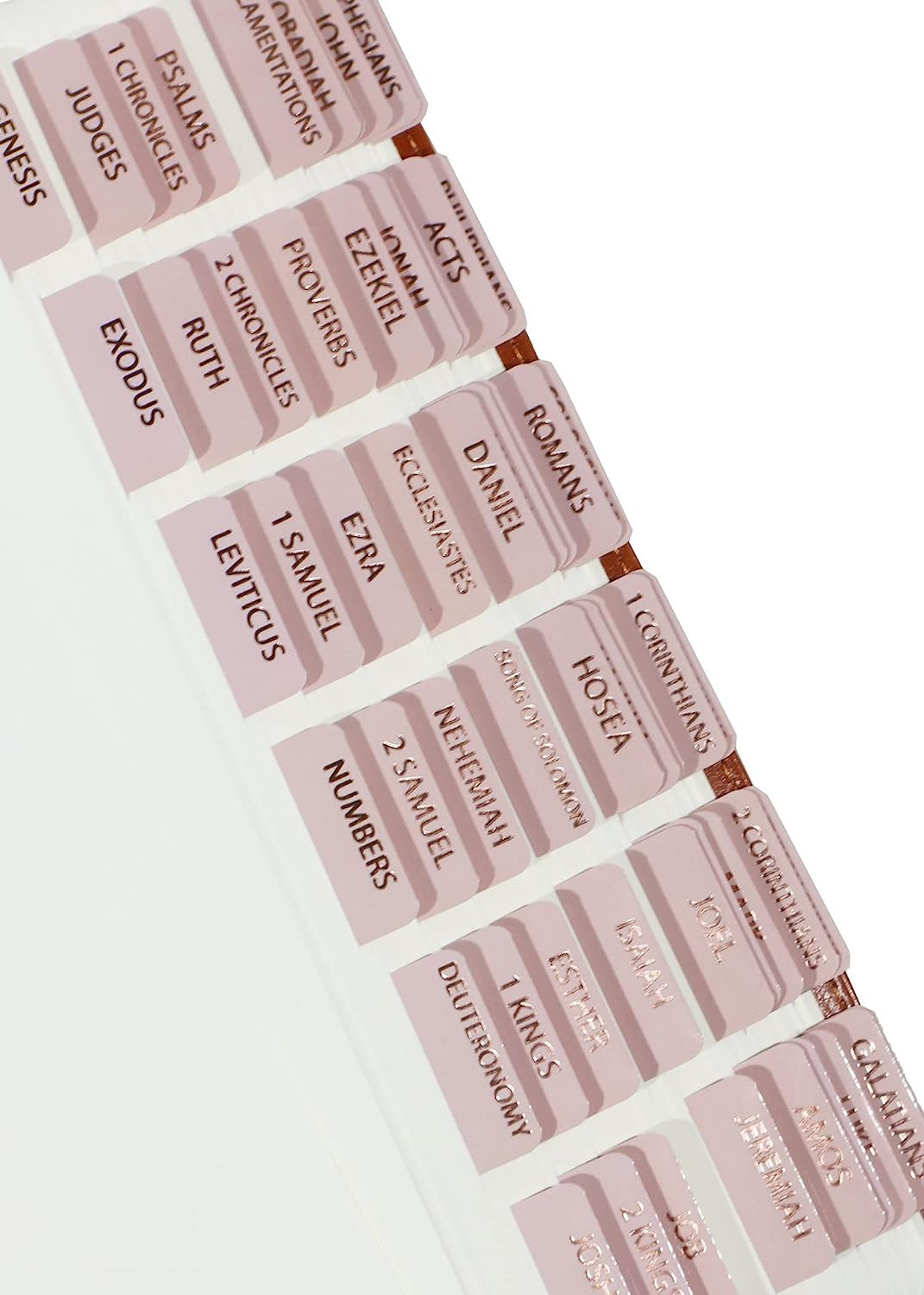 Idyllic Grace - Melted - Bible Tabs - Rose Gold Foil - Bible Journaling - Beautiful Index Tabs - ... | Amazon (US)