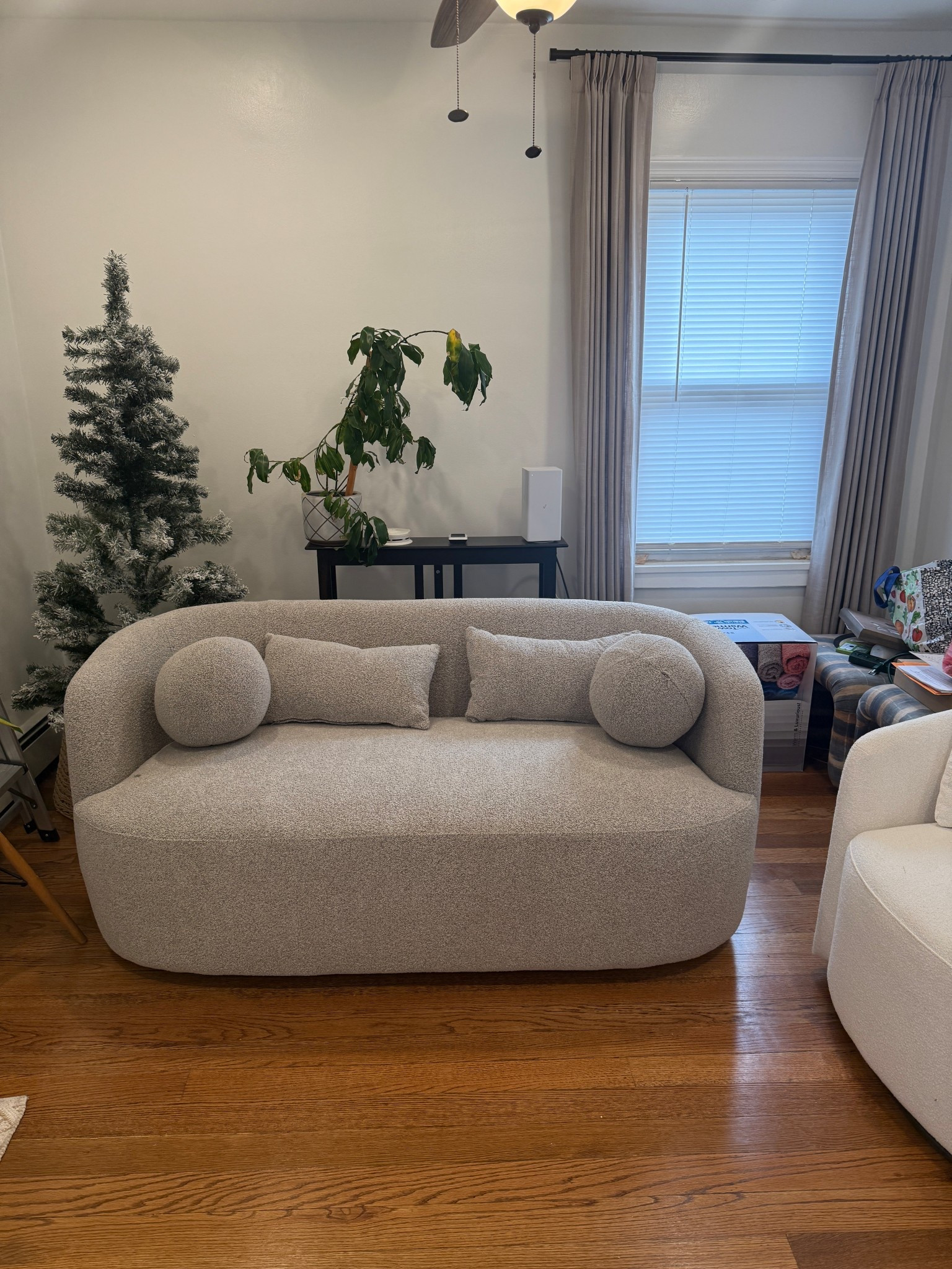 68 in. W Taupe Boucle Fabric Upholstered 2-Seats Loveseat with Pillows

#LTKSeasonal #LTKSaleAlert #LTKHome