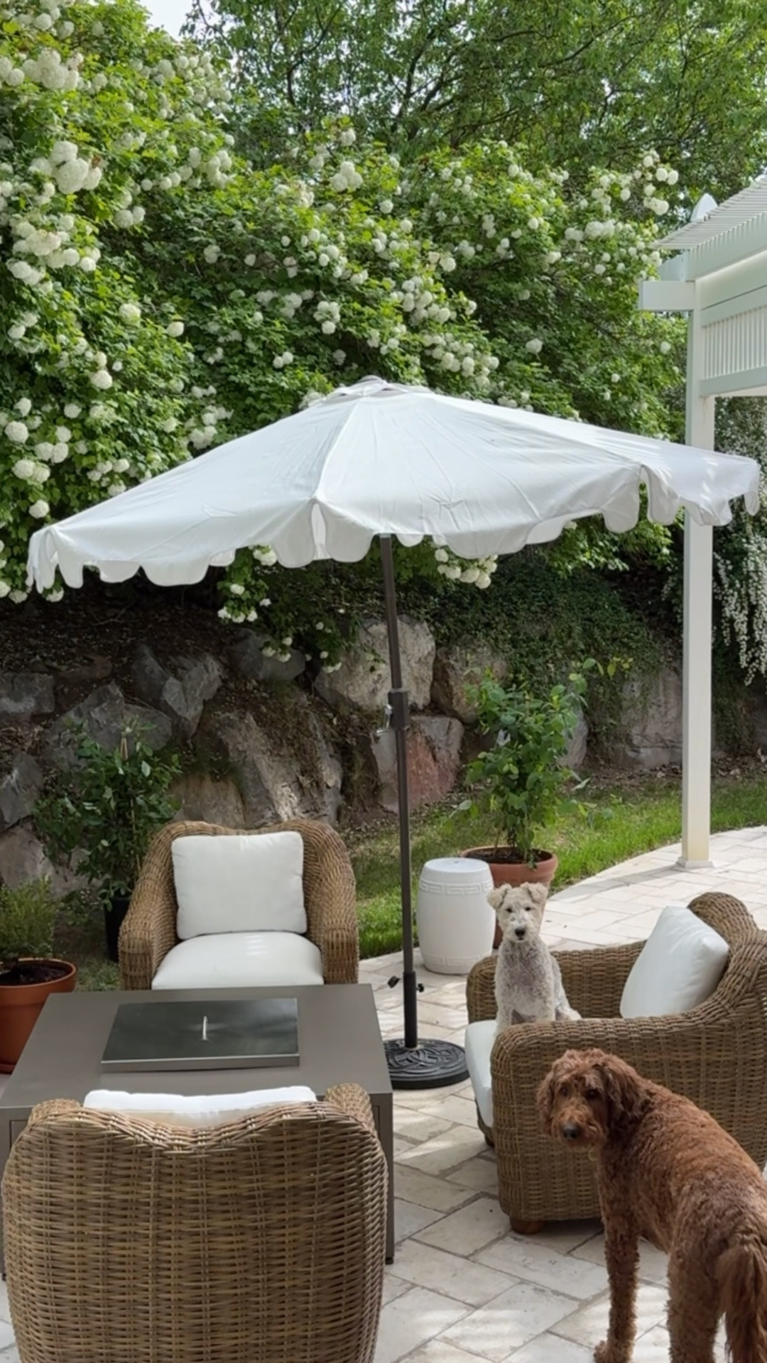 #ad The @Wayfair  Hot Summer Sale ends tonight, so if you've been on the hunt for a patio, backyard, or a balcony refresh... now is the time to snag up to 70% off plus fast & east delivery on orders over $35! Linking my top picks for you! #wayfair #wayfairpartner #LTKhome

#LTKSeasonal