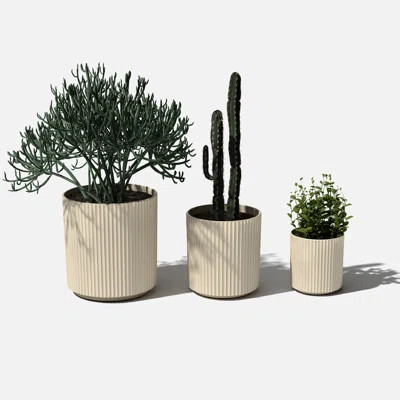 Demi Series Round Planter Set of 3 | AllModern | AllModern