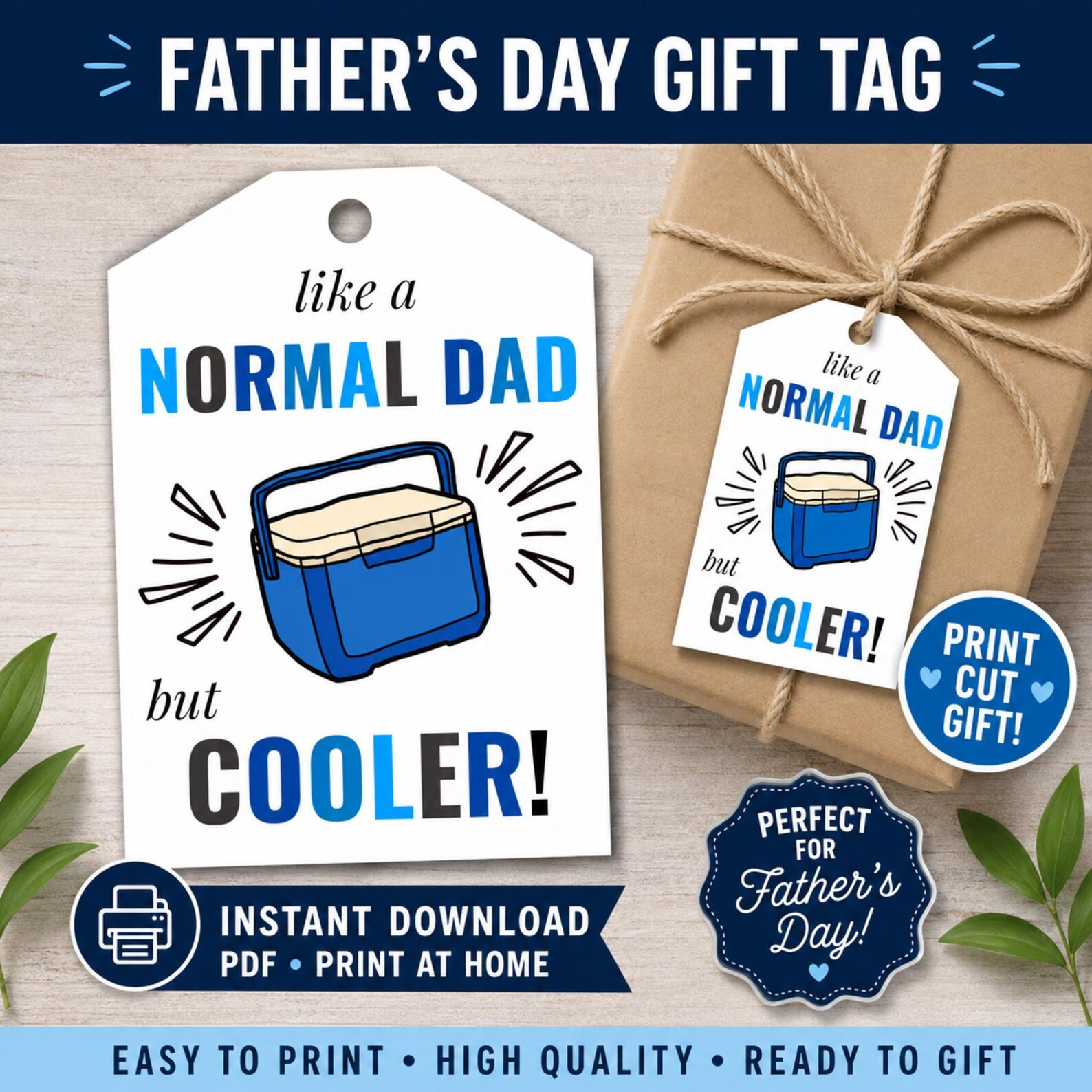 Like a Normal Dad But Cooler Gift Tag Printable | Father's Day Gift Tag | Cooler Gift Tag | Dad B... | Etsy (Global)